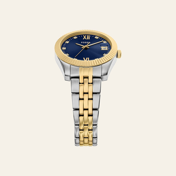 Fossil Scarlette