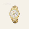 Festina Timeless