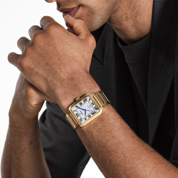 Festina Klasike për Meshkuj — pamja 9 | Shkreli Watches