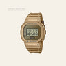 G-Shock DWE-5600HG