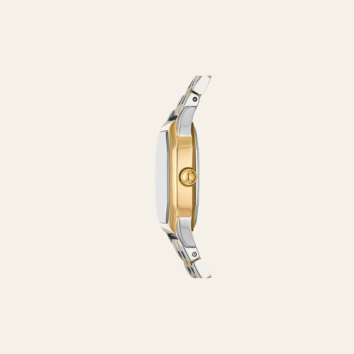 Fossil Harlow