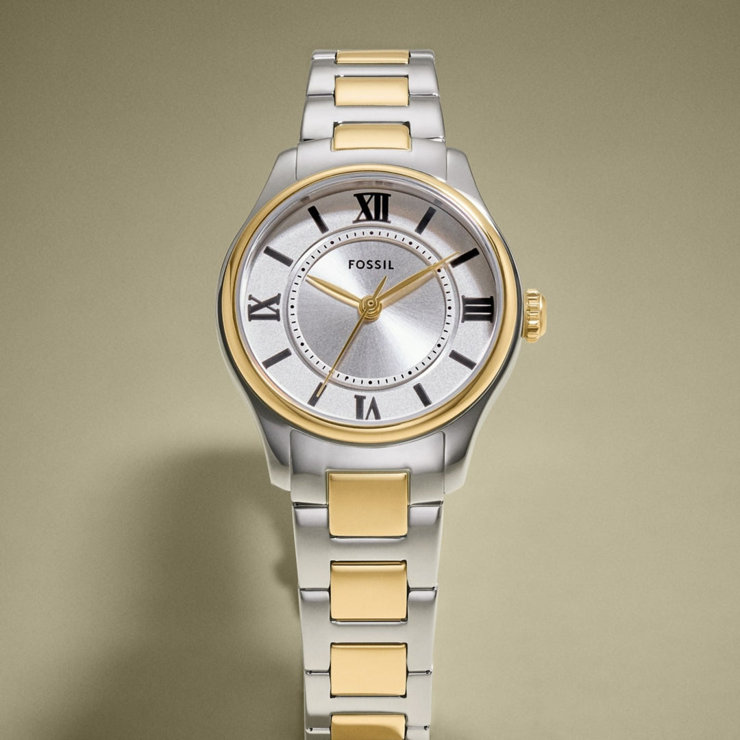 Fossil Gilmore – view 3