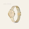 Daniel Wellington Petite Reflection Gold