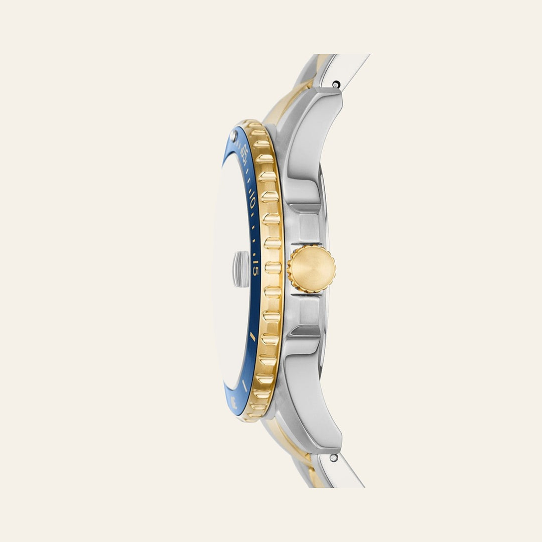 Fossil Blue Dive