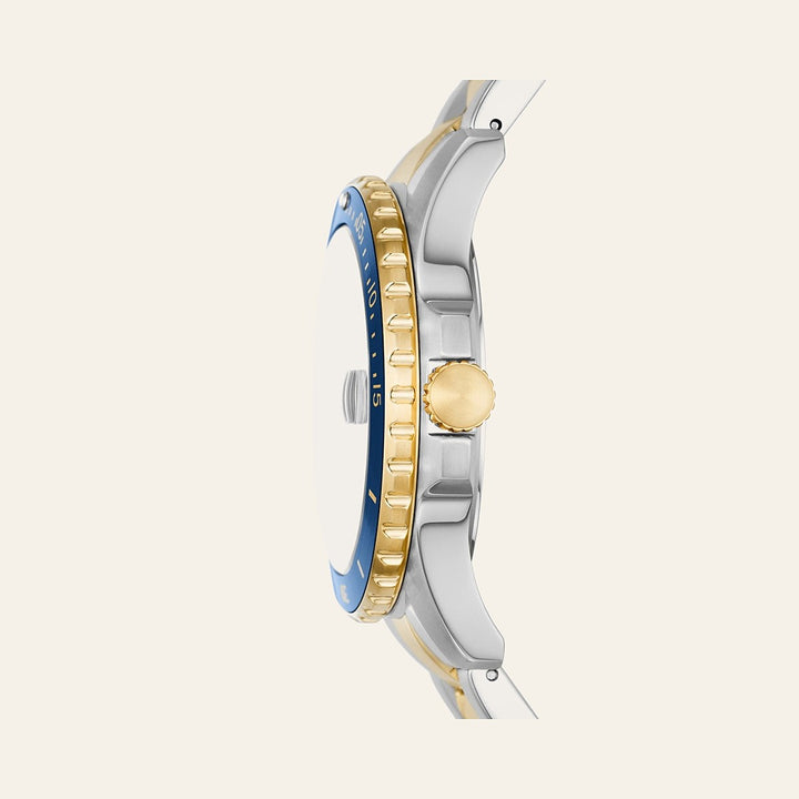 Fossil Blue Dive
