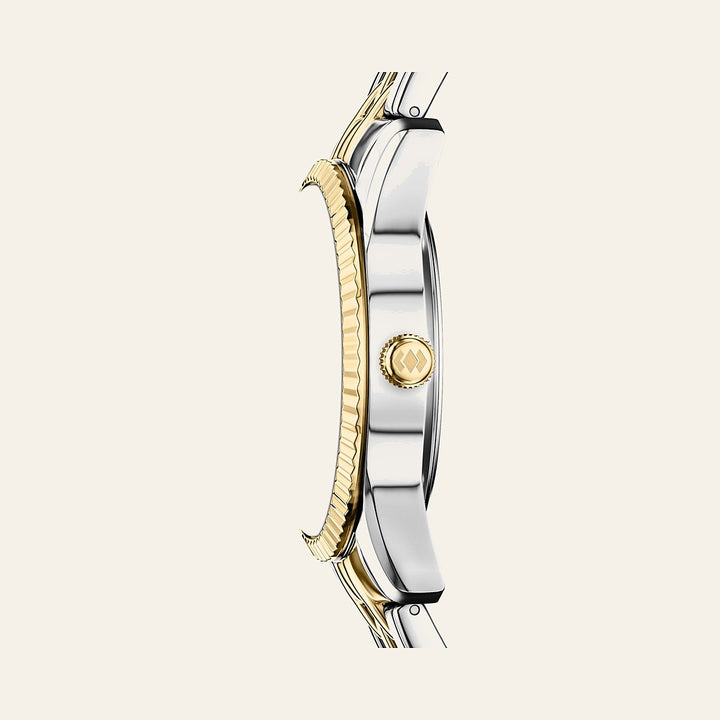 Fossil Scarlette