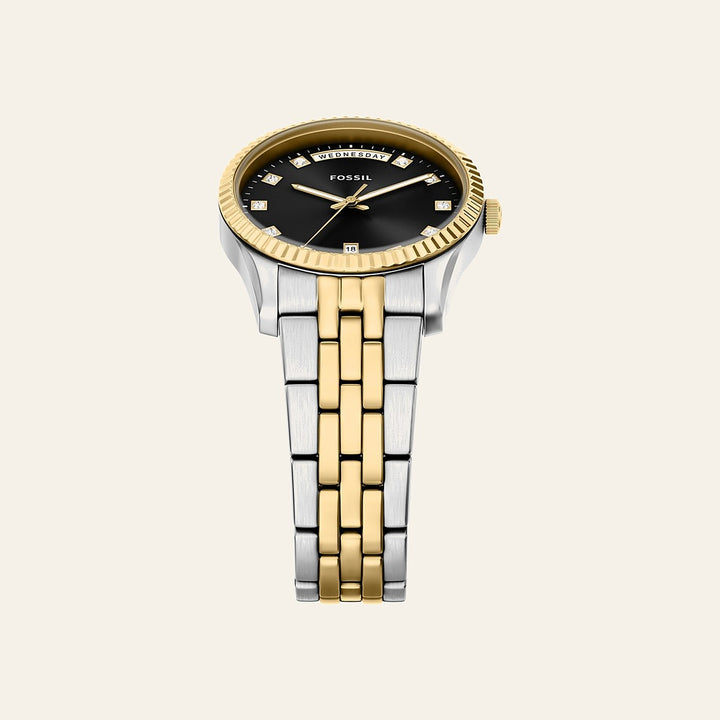Fossil Scarlette