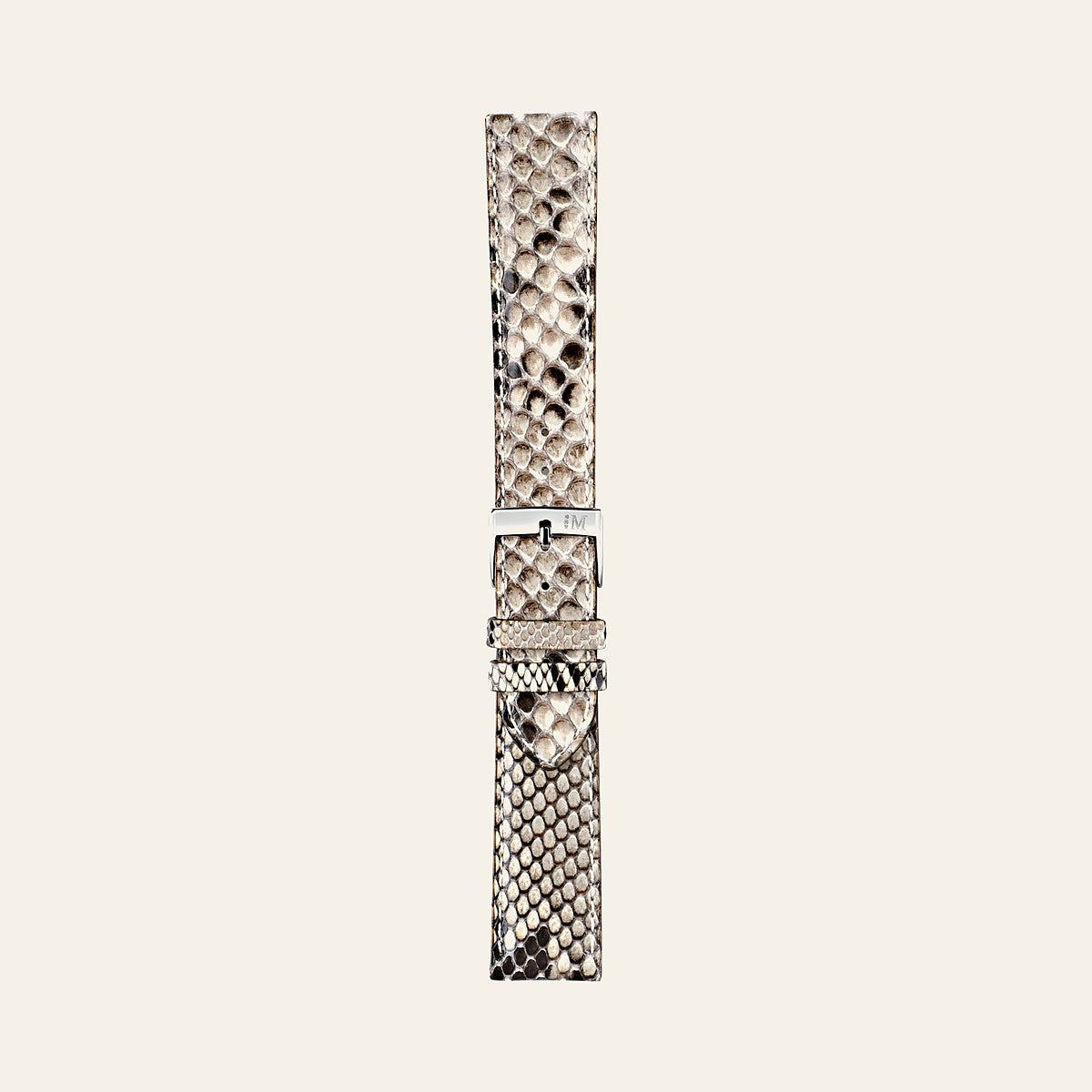 Rrip Morellato Celine — Morellato | Shkreli Watches