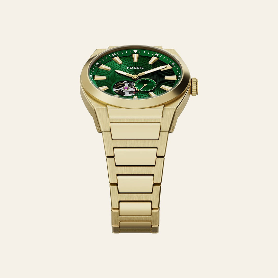 Fossil Everett