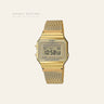 Casio A700WEMG