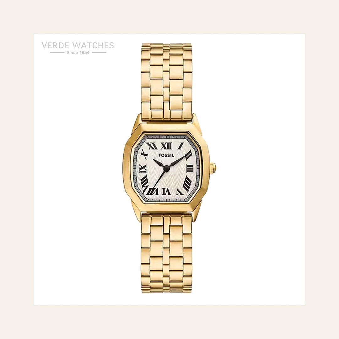 Fossil Harlow