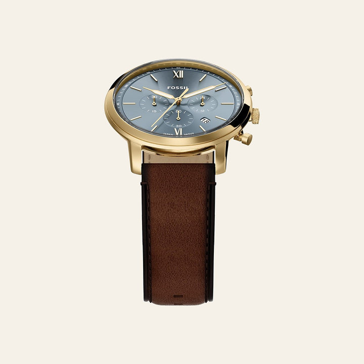 Fossil Neutra
