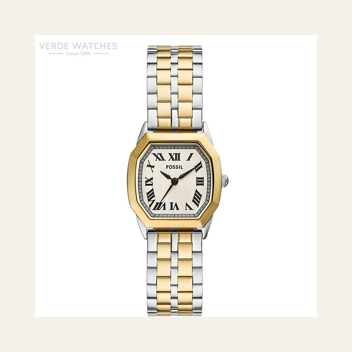 Fossil Harlow