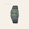 Casio AQ-800ECGG
