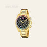 Festina Klassik — Grau
