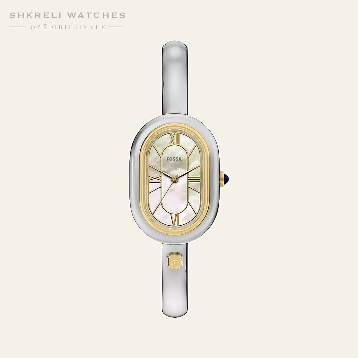 Fossil Sloan — pamja 4 | Shkreli Watches