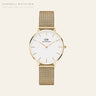 Daniel Wellington Petite Evergold