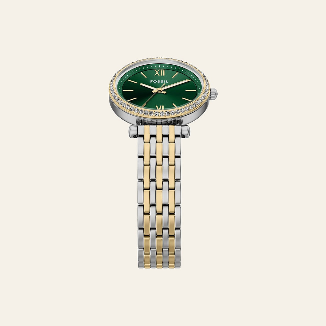 Fossil Carlie