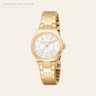 Roberto Cavalli Lady