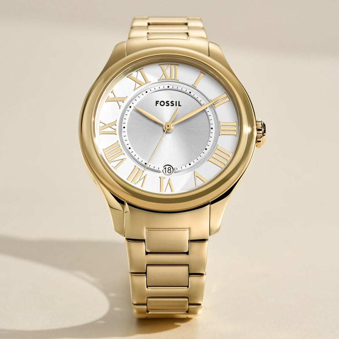 Fossil Gilmore – view 5