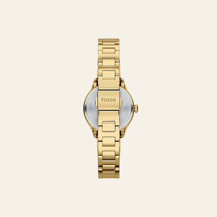 Fossil Glimore