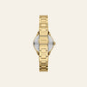 Fossil Glimore