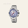 Festina Klassik — Grau