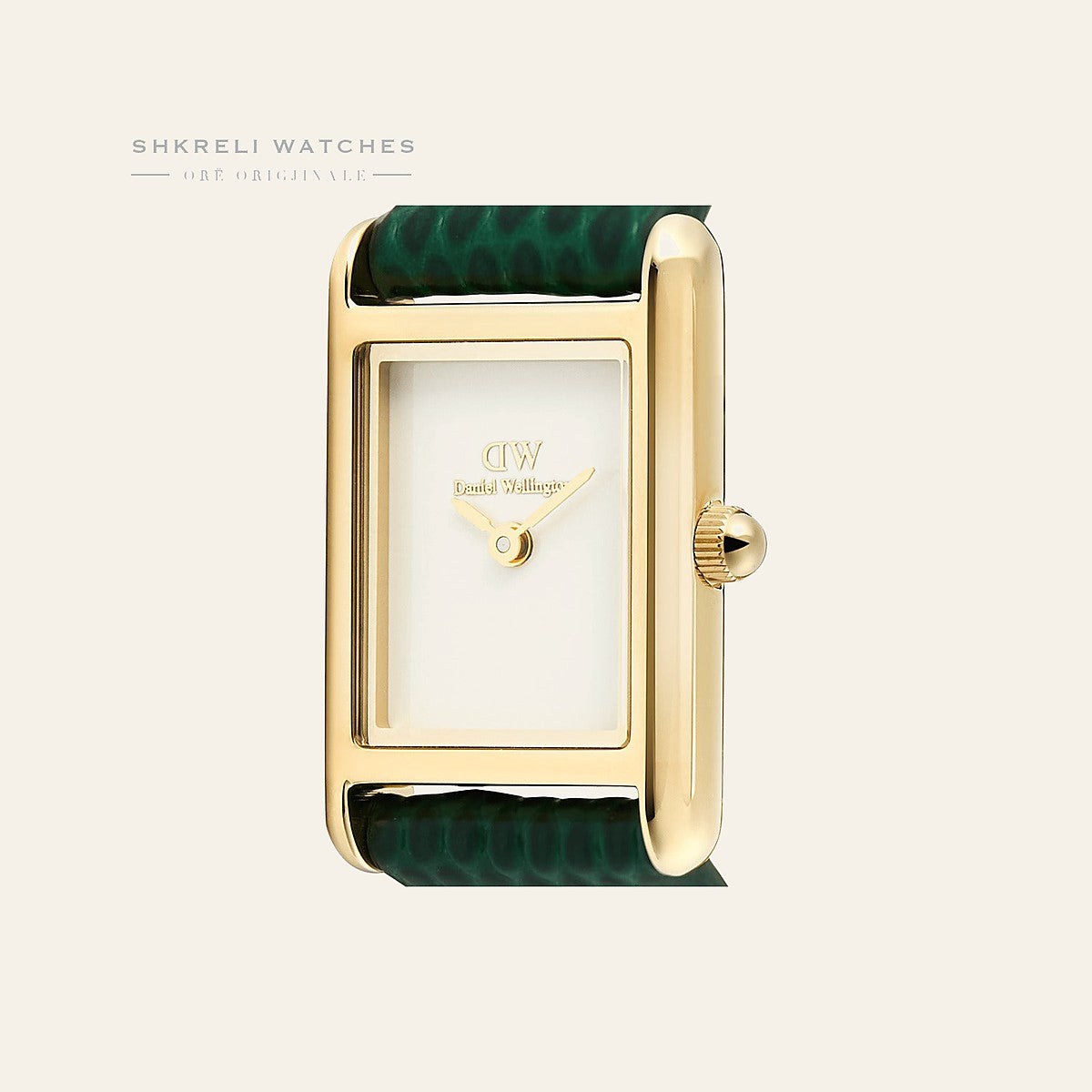 Daniel Wellington The Bound Mini — Daniel Wellington | Shkreli Watches