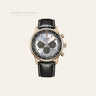 Citizen Chrono Pilot / Eco-Drive