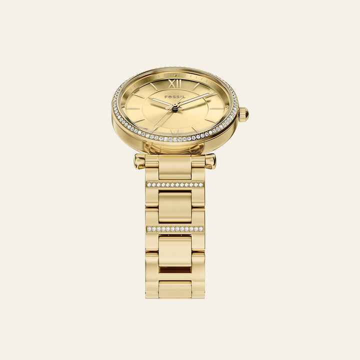 Fossil Carlie