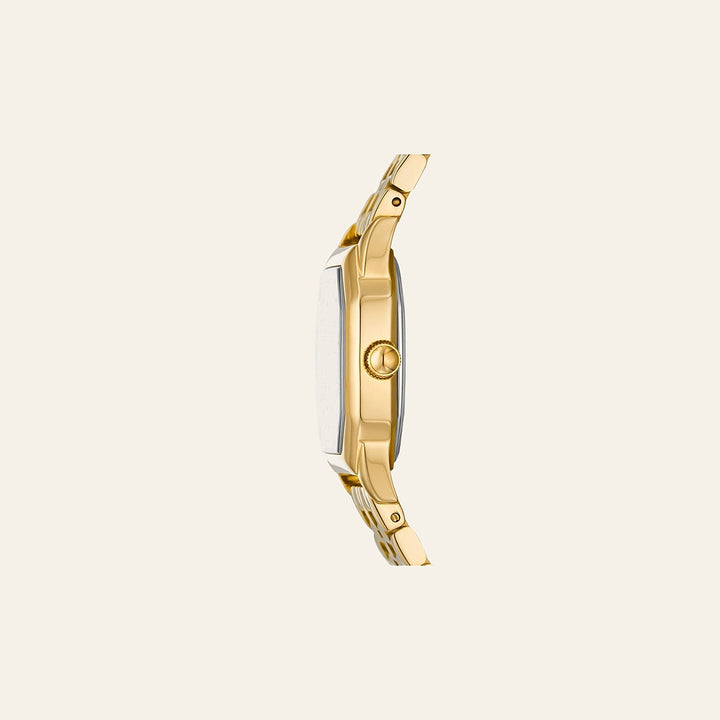 Fossil Harlow