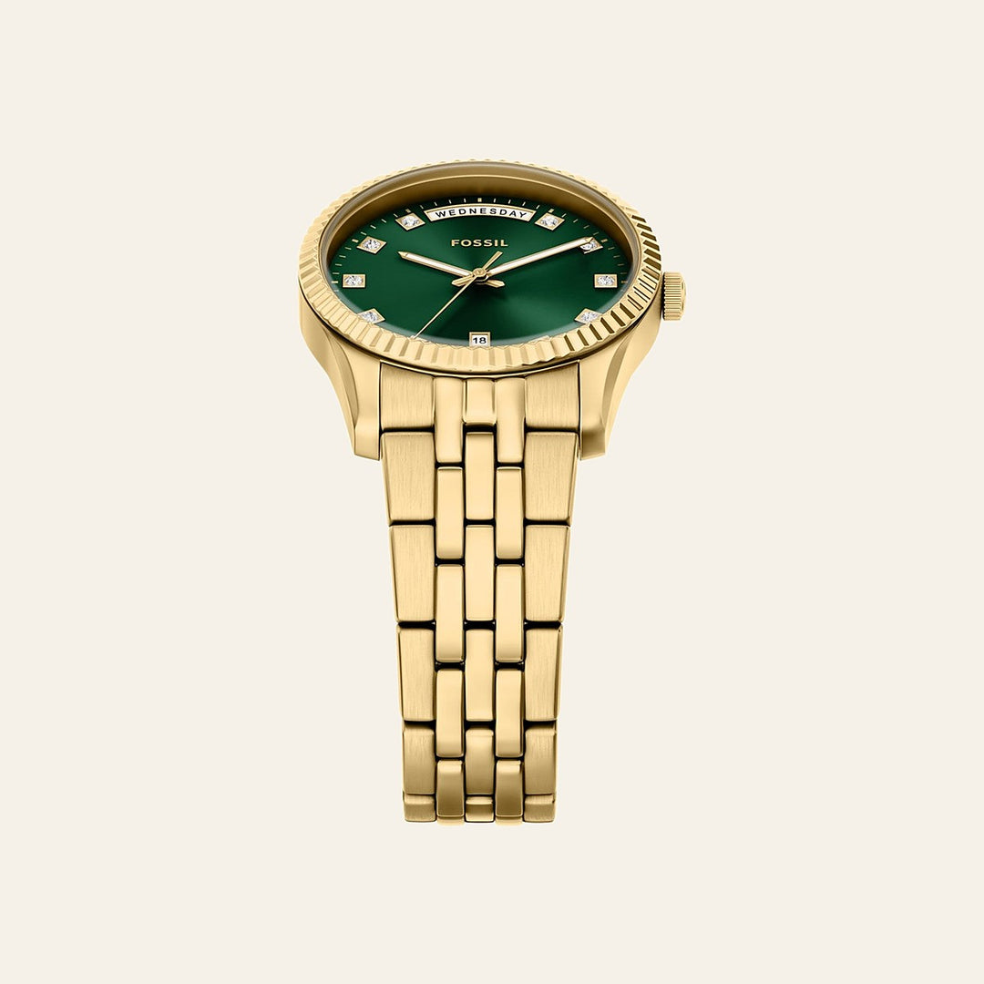 Fossil Scarlette