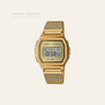 Casio A1000MG