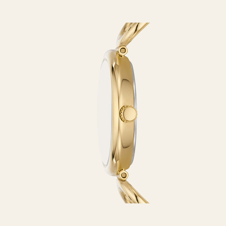 Fossil Carlie