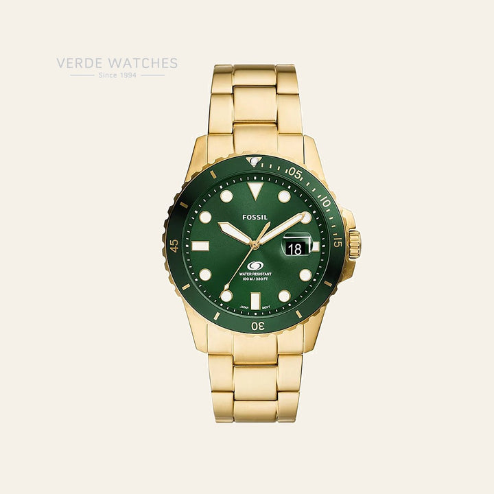 Fossil Blue Dive