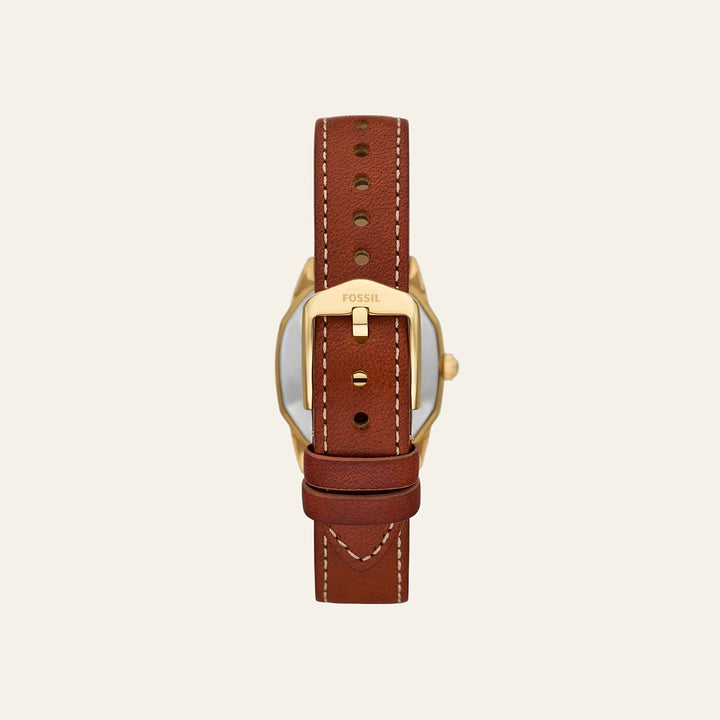 Fossil Harlow