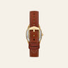 Fossil Harlow