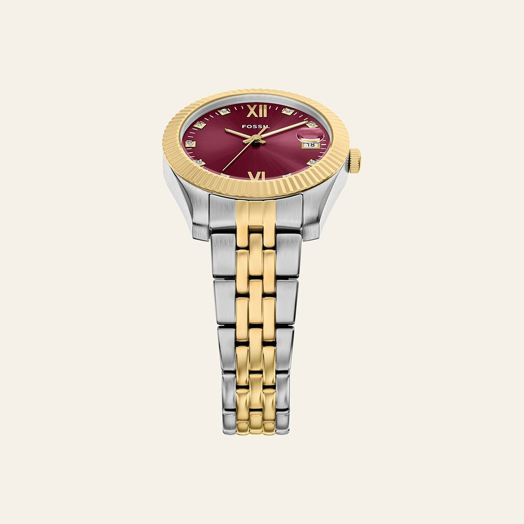 Fossil Scarlette