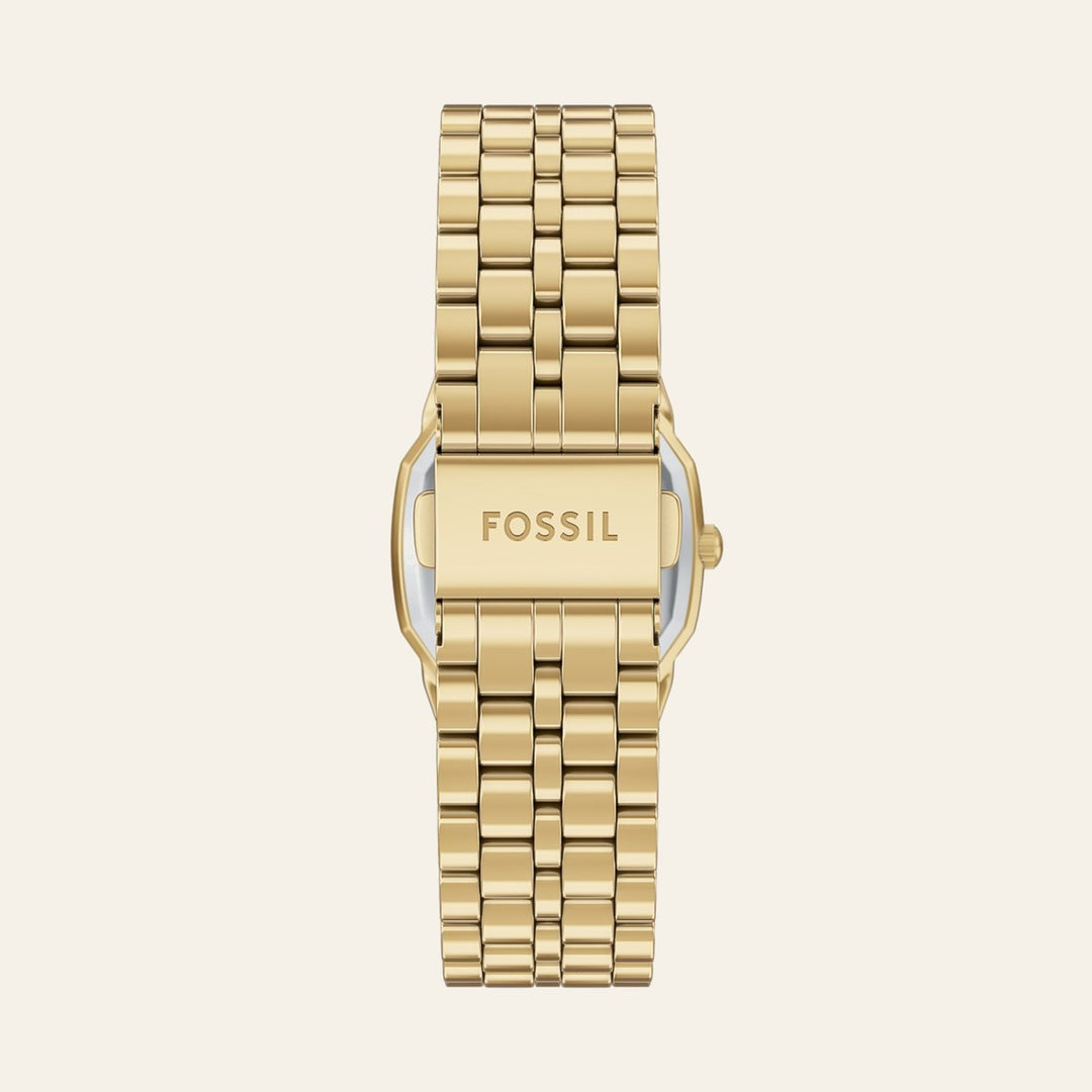 Fossil Harlow