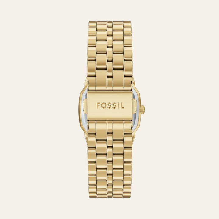 Fossil Harlow