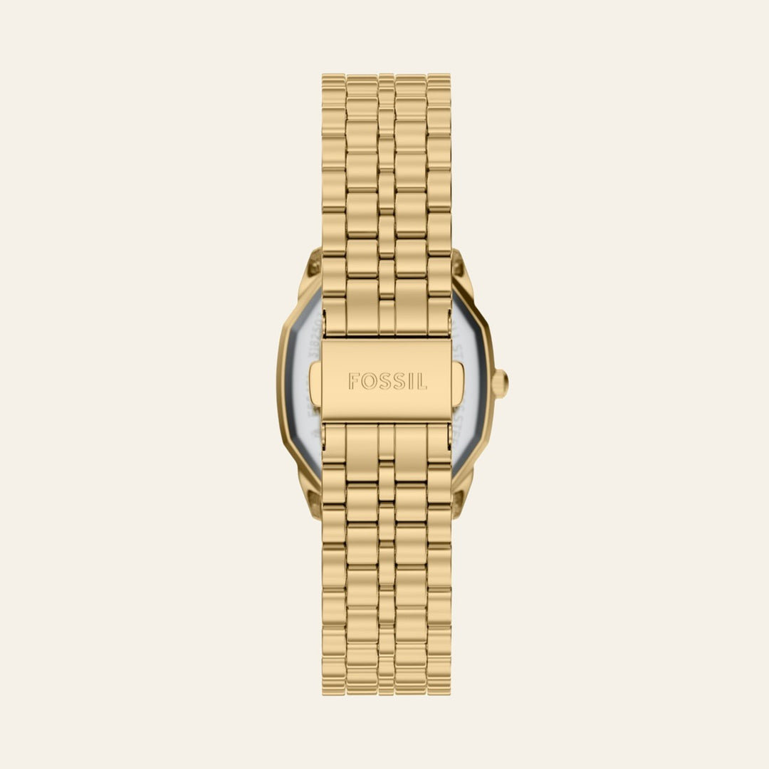 Fossil Harlow