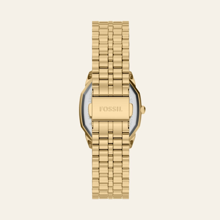 Fossil Harlow