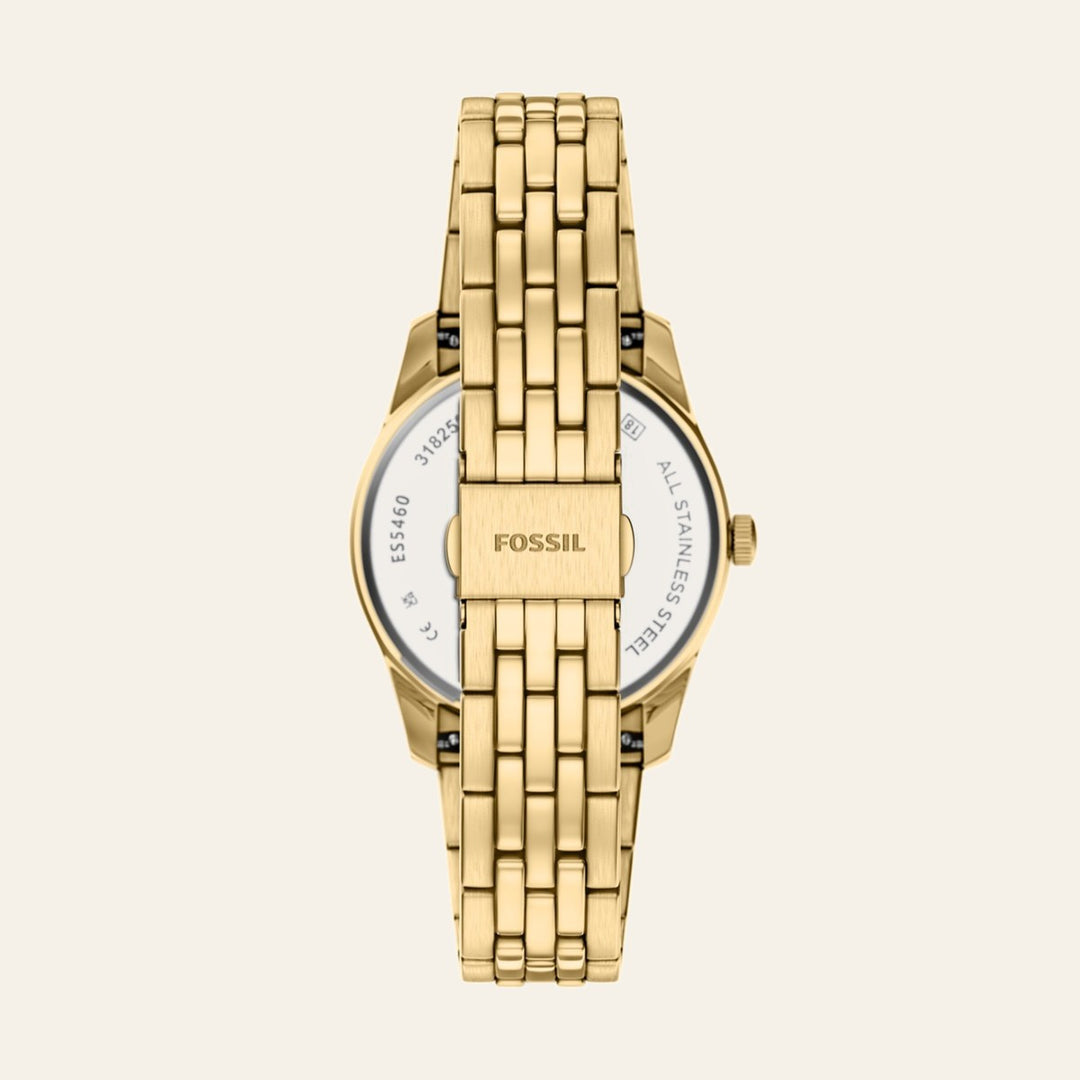 Fossil Scarlette
