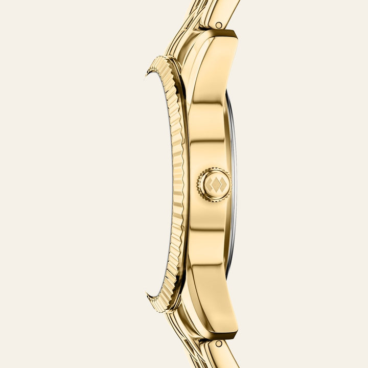 Fossil Scarlette