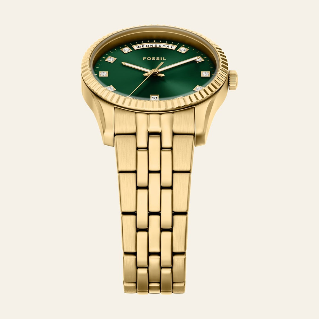 Fossil Scarlette