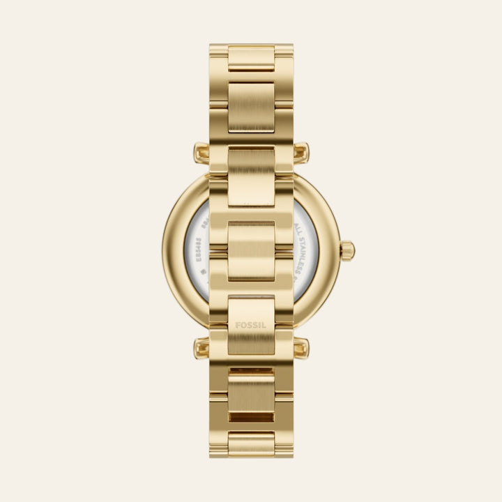 Fossil Carlie
