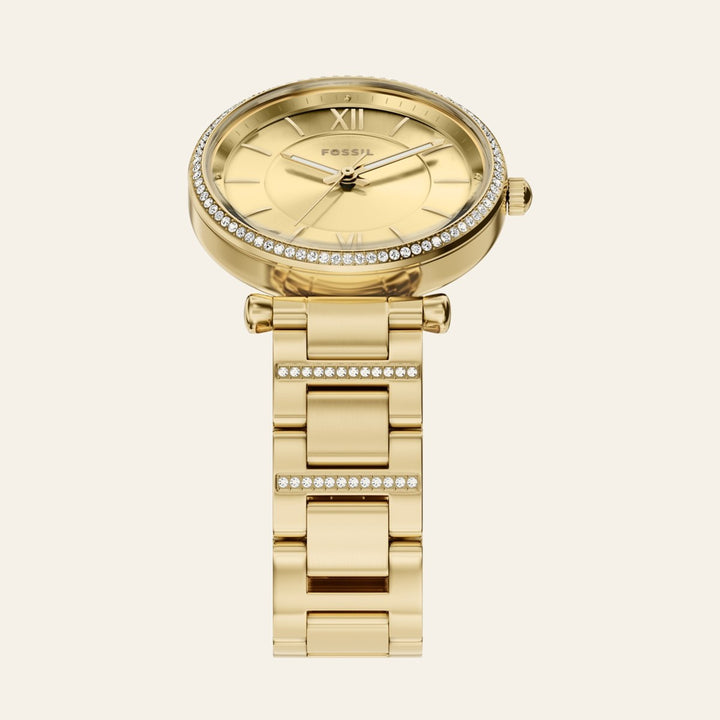 Fossil Carlie