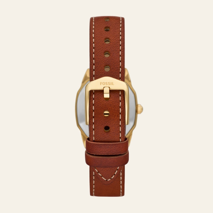 Fossil Harlow