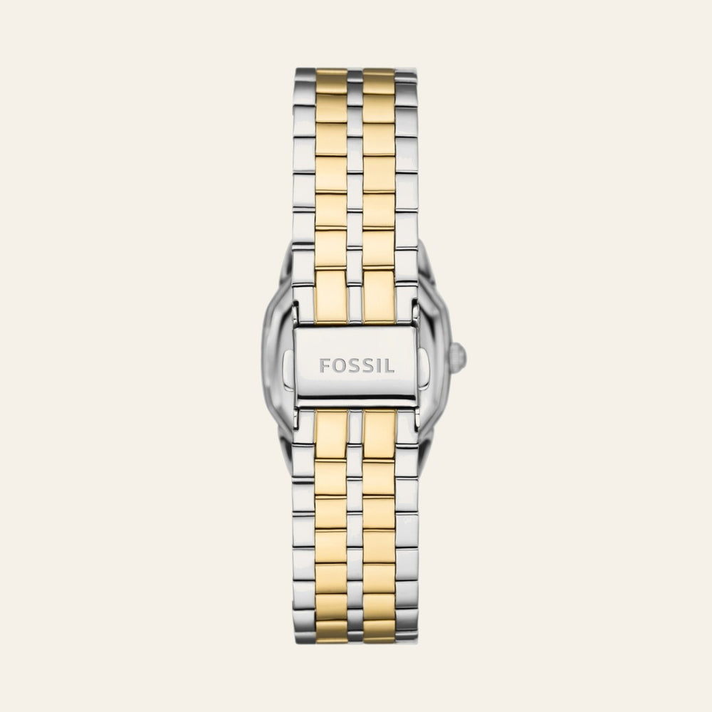 Fossil Harlow