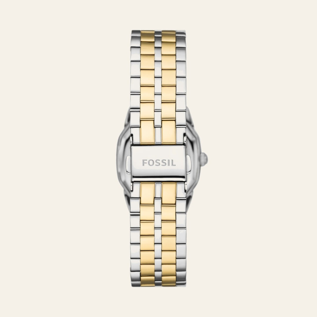 Fossil Harlow